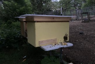 Lessons Learned Building Layens Hives